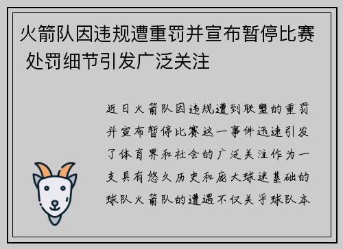 火箭队因违规遭重罚并宣布暂停比赛 处罚细节引发广泛关注